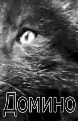 Домино (1973)