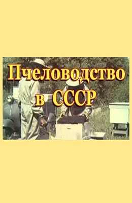 Советское пчеловодство
